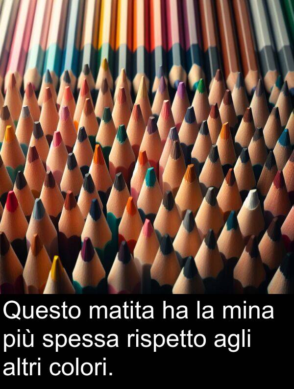 spessa: Questo matita ha la mina più spessa rispetto agli altri colori.
