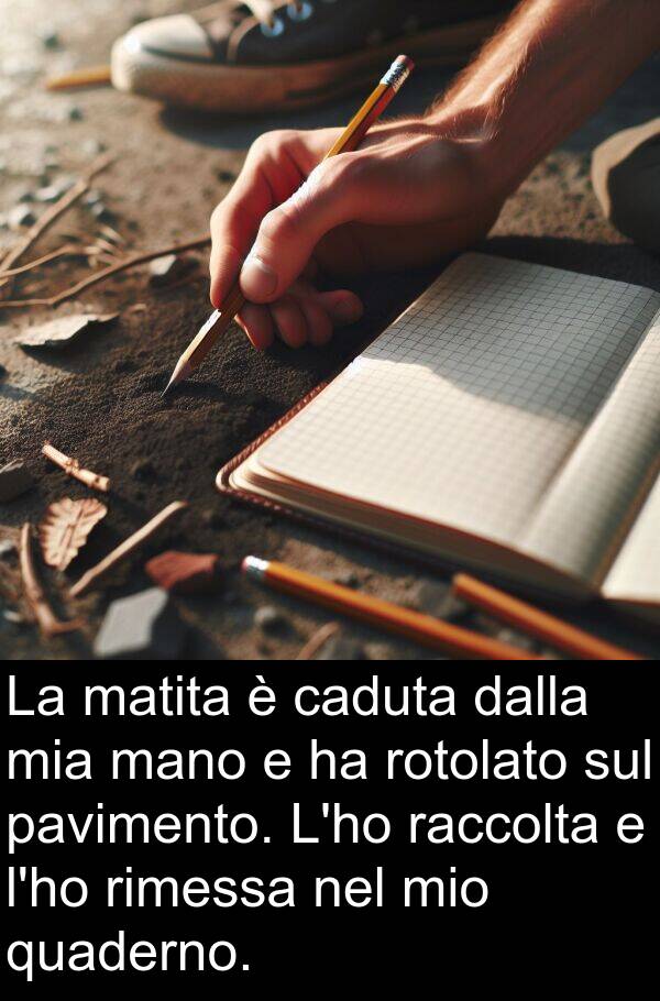 matita: La matita è caduta dalla mia mano e ha rotolato sul pavimento. L'ho raccolta e l'ho rimessa nel mio quaderno.