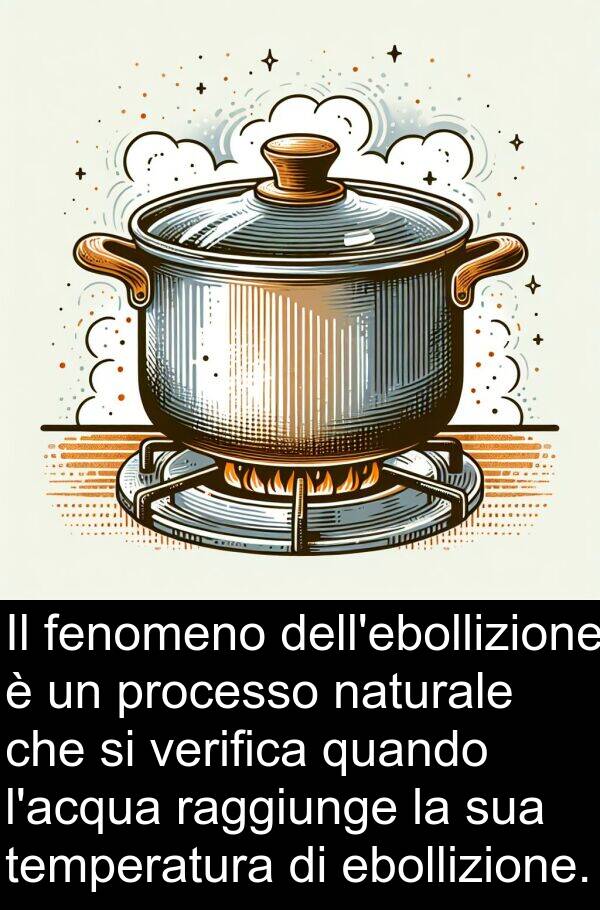 processo: Il fenomeno dell'ebollizione è un processo naturale che si verifica quando l'acqua raggiunge la sua temperatura di ebollizione.