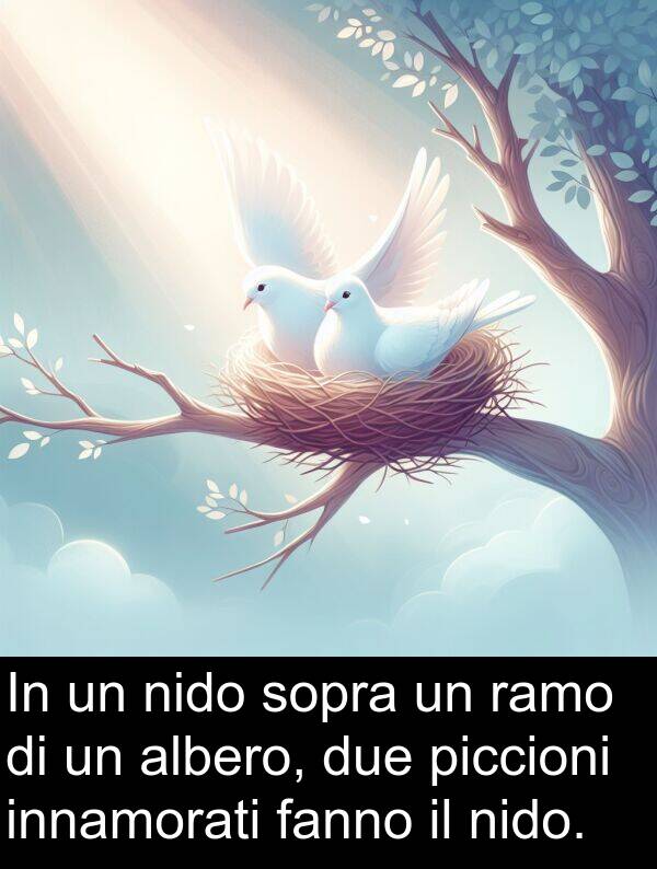 ramo: In un nido sopra un ramo di un albero, due piccioni innamorati fanno il nido.