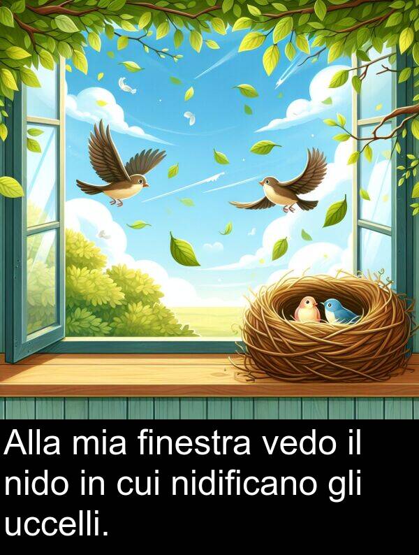 finestra: Alla mia finestra vedo il nido in cui nidificano gli uccelli.