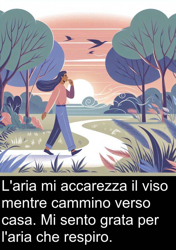 cammino: L'aria mi accarezza il viso mentre cammino verso casa. Mi sento grata per l'aria che respiro.