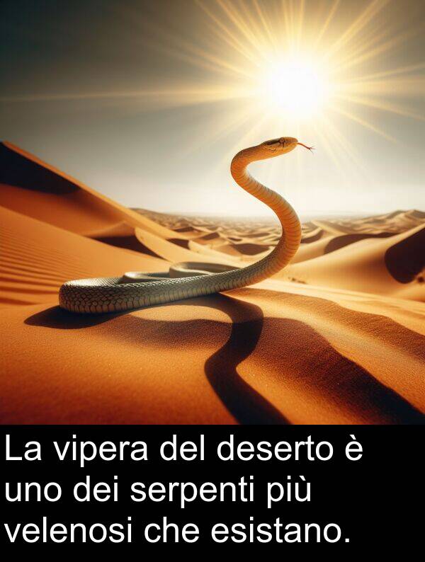 esistano: La vipera del deserto è uno dei serpenti più velenosi che esistano.