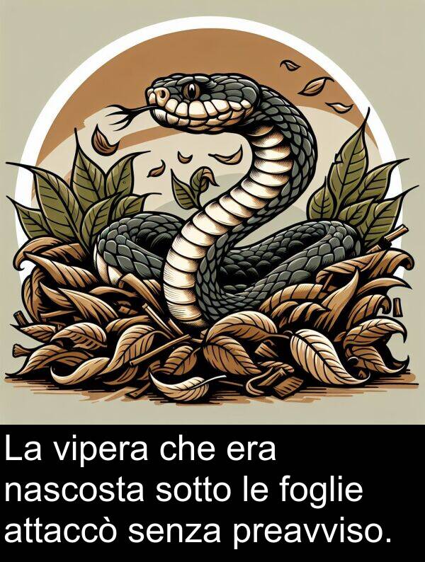 nascosta: La vipera che era nascosta sotto le foglie attaccò senza preavviso.