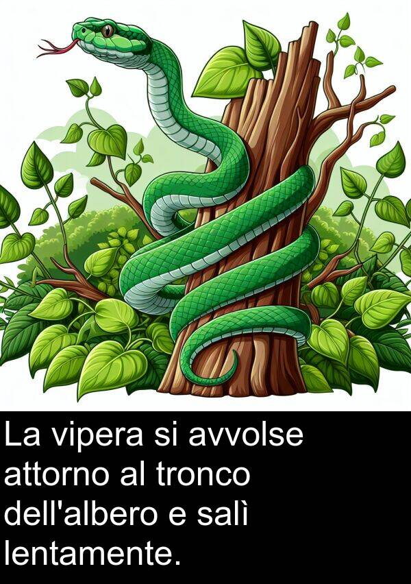 attorno: La vipera si avvolse attorno al tronco dell'albero e salì lentamente.