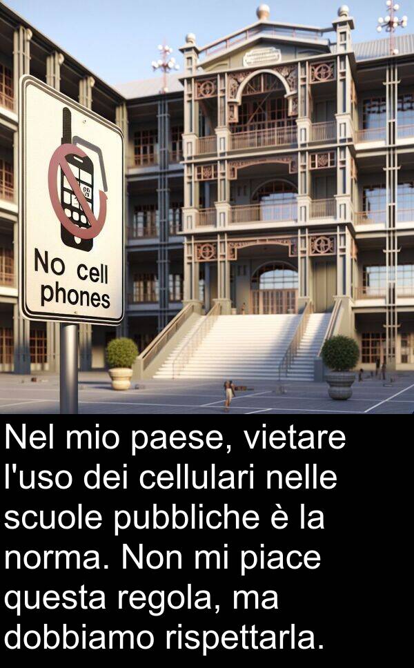 scuole: Nel mio paese, vietare l'uso dei cellulari nelle scuole pubbliche è la norma. Non mi piace questa regola, ma dobbiamo rispettarla.