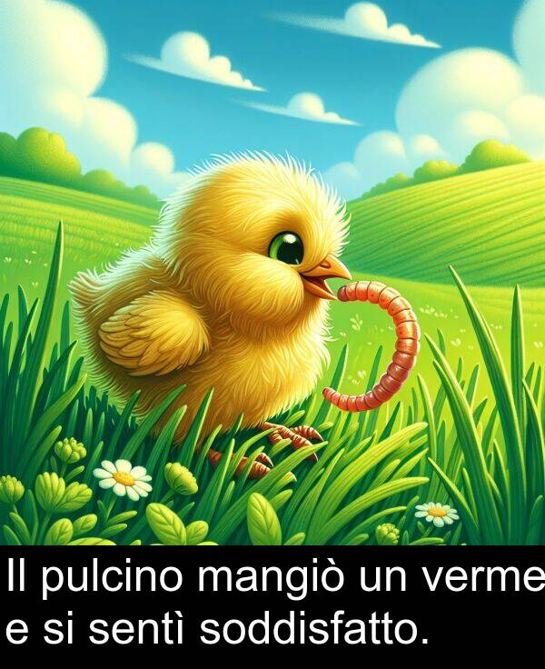 pulcino: Il pulcino mangiò un verme e si sentì soddisfatto.