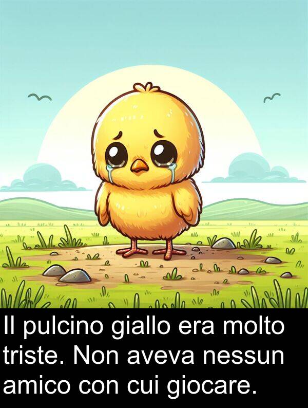 nessun: Il pulcino giallo era molto triste. Non aveva nessun amico con cui giocare.