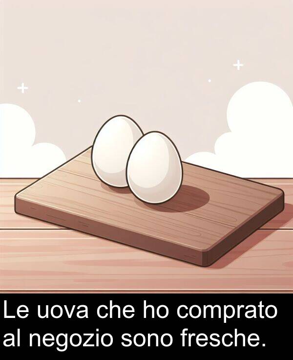 che: Le uova che ho comprato al negozio sono fresche.