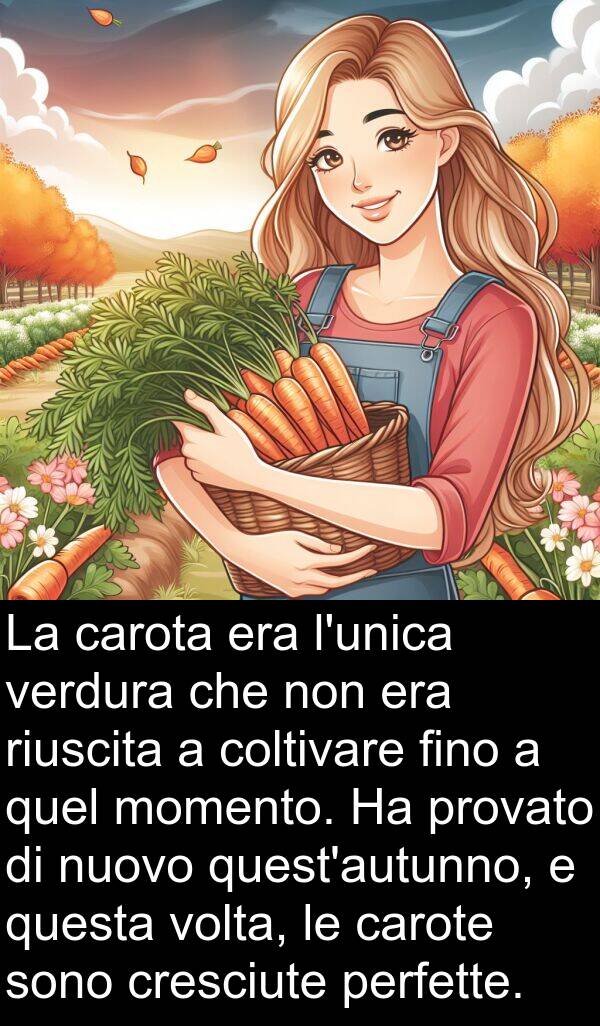 quel: La carota era l'unica verdura che non era riuscita a coltivare fino a quel momento. Ha provato di nuovo quest'autunno, e questa volta, le carote sono cresciute perfette.