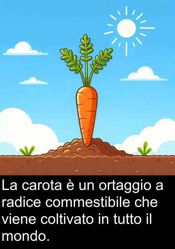 viene: La carota è un ortaggio a radice commestibile che viene coltivato in tutto il mondo.