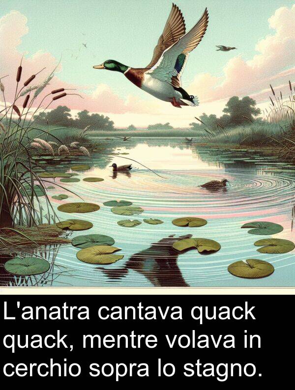 sopra: L'anatra cantava quack quack, mentre volava in cerchio sopra lo stagno.