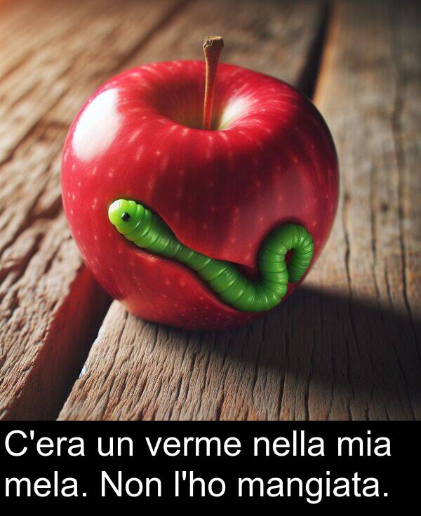 nella: C'era un verme nella mia mela. Non l'ho mangiata.