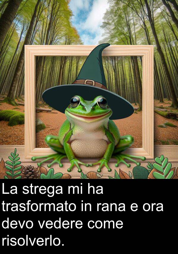 vedere: La strega mi ha trasformato in rana e ora devo vedere come risolverlo.