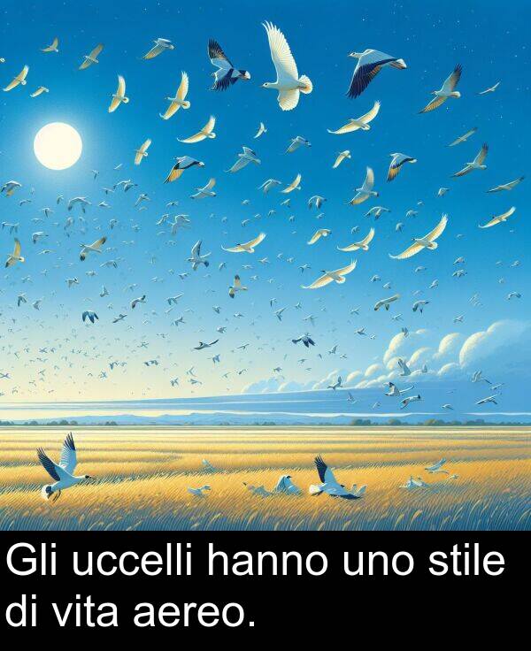 vita: Gli uccelli hanno uno stile di vita aereo.