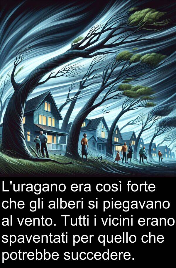 quello: L'uragano era così forte che gli alberi si piegavano al vento. Tutti i vicini erano spaventati per quello che potrebbe succedere.