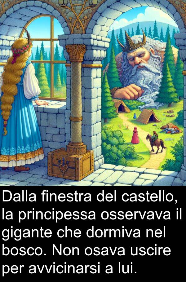 osava: Dalla finestra del castello, la principessa osservava il gigante che dormiva nel bosco. Non osava uscire per avvicinarsi a lui.