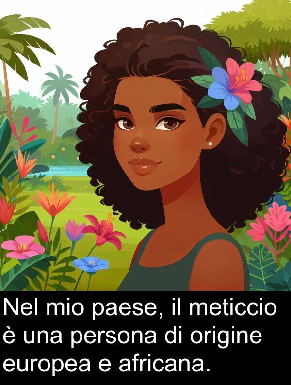 europea: Nel mio paese, il meticcio è una persona di origine europea e africana.