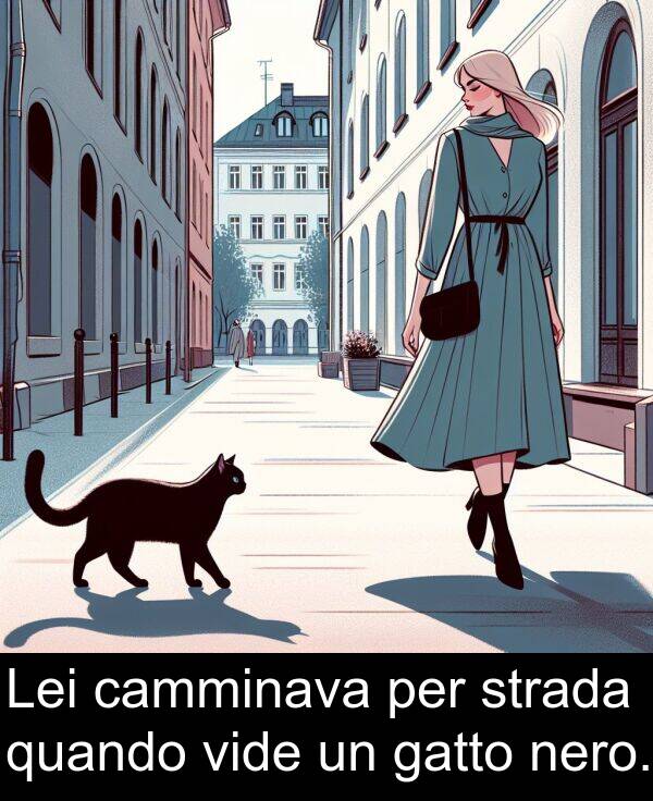 gatto: Lei camminava per strada quando vide un gatto nero.