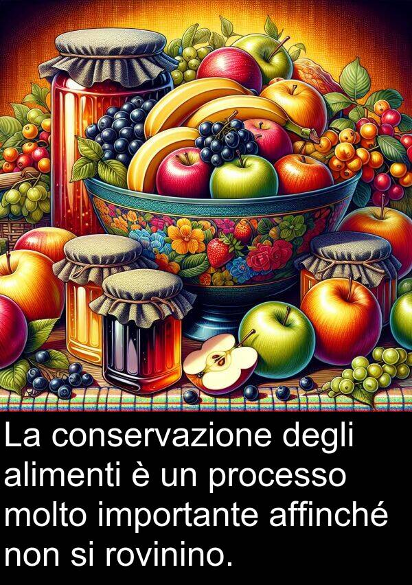 processo: La conservazione degli alimenti è un processo molto importante affinché non si rovinino.