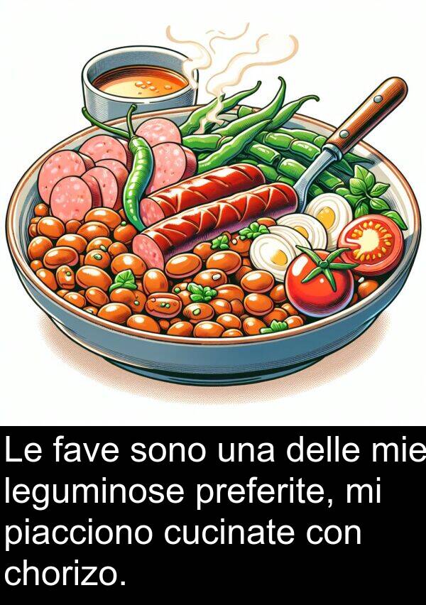 chorizo: Le fave sono una delle mie leguminose preferite, mi piacciono cucinate con chorizo.
