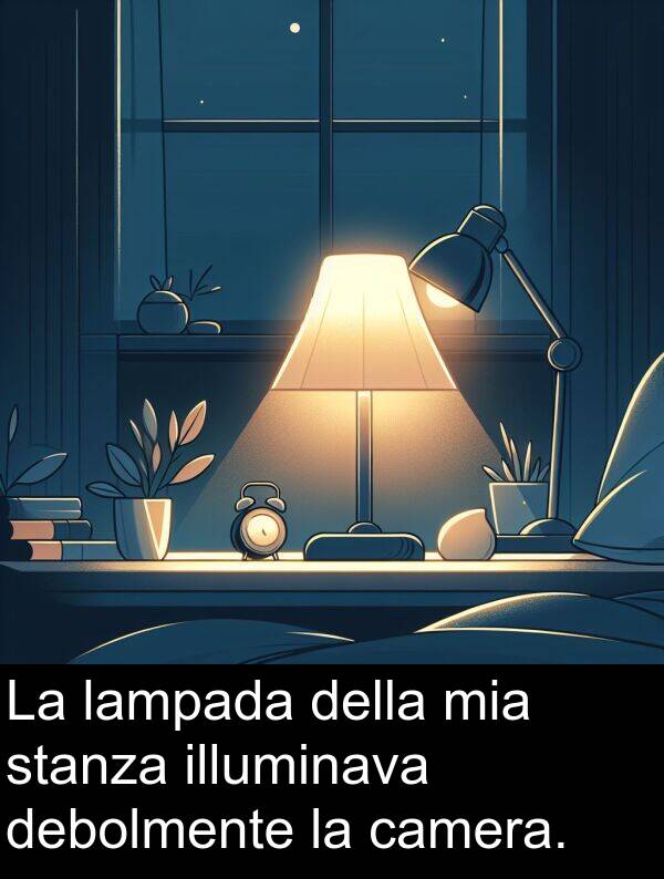 lampada: La lampada della mia stanza illuminava debolmente la camera.