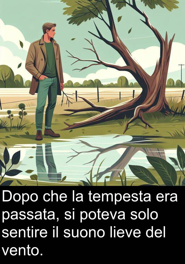 vento: Dopo che la tempesta era passata, si poteva solo sentire il suono lieve del vento.