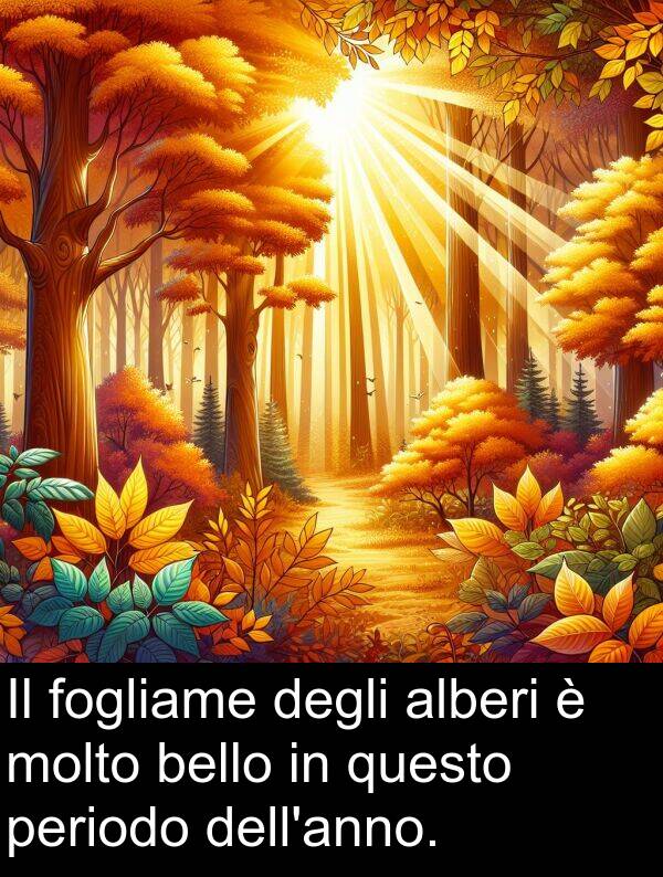 degli: Il fogliame degli alberi è molto bello in questo periodo dell'anno.