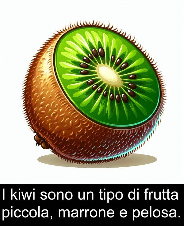 marrone: I kiwi sono un tipo di frutta piccola, marrone e pelosa.