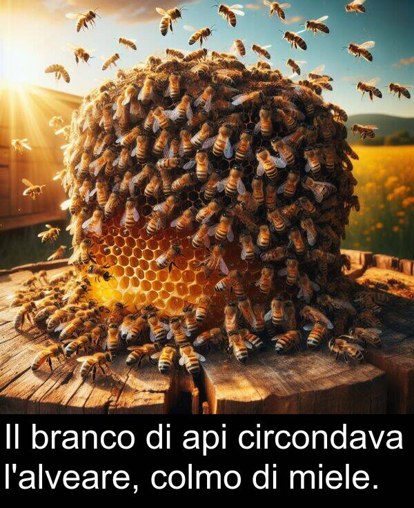 api: Il branco di api circondava l'alveare, colmo di miele.
