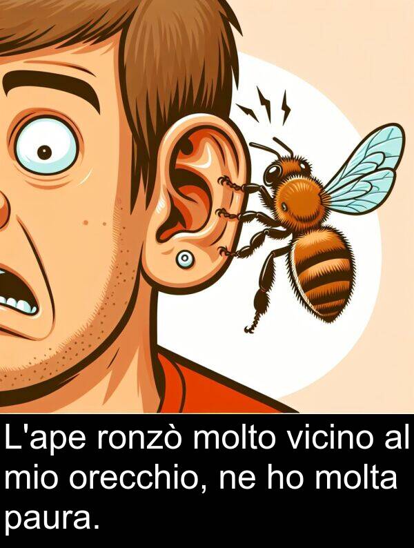 ronzò: L'ape ronzò molto vicino al mio orecchio, ne ho molta paura.