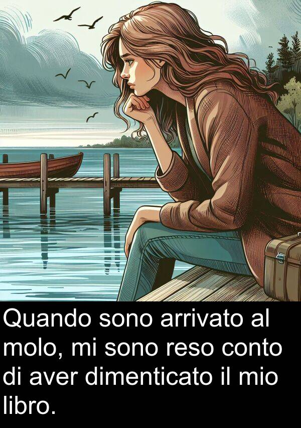 molo: Quando sono arrivato al molo, mi sono reso conto di aver dimenticato il mio libro.