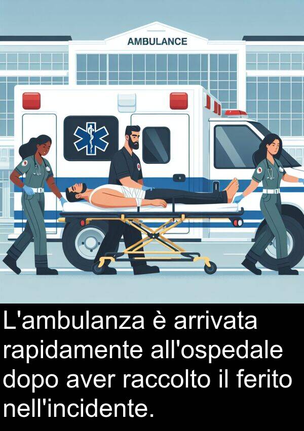 rapidamente: L'ambulanza è arrivata rapidamente all'ospedale dopo aver raccolto il ferito nell'incidente.