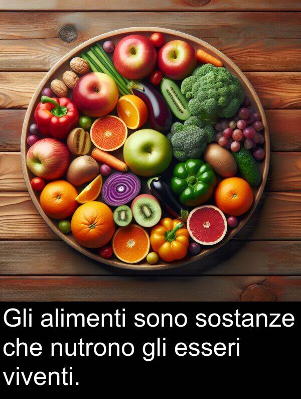 viventi: Gli alimenti sono sostanze che nutrono gli esseri viventi.