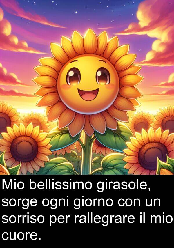 rallegrare: Mio bellissimo girasole, sorge ogni giorno con un sorriso per rallegrare il mio cuore.
