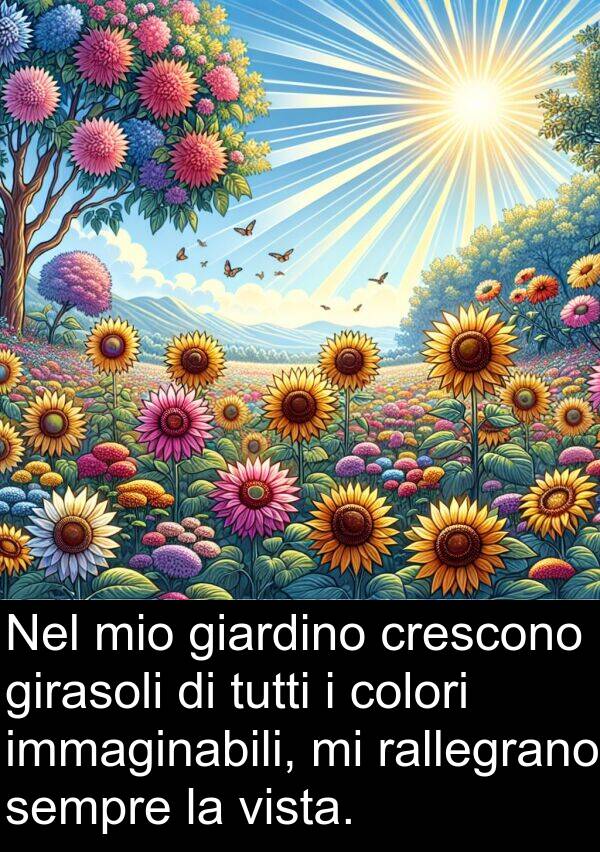 rallegrano: Nel mio giardino crescono girasoli di tutti i colori immaginabili, mi rallegrano sempre la vista.