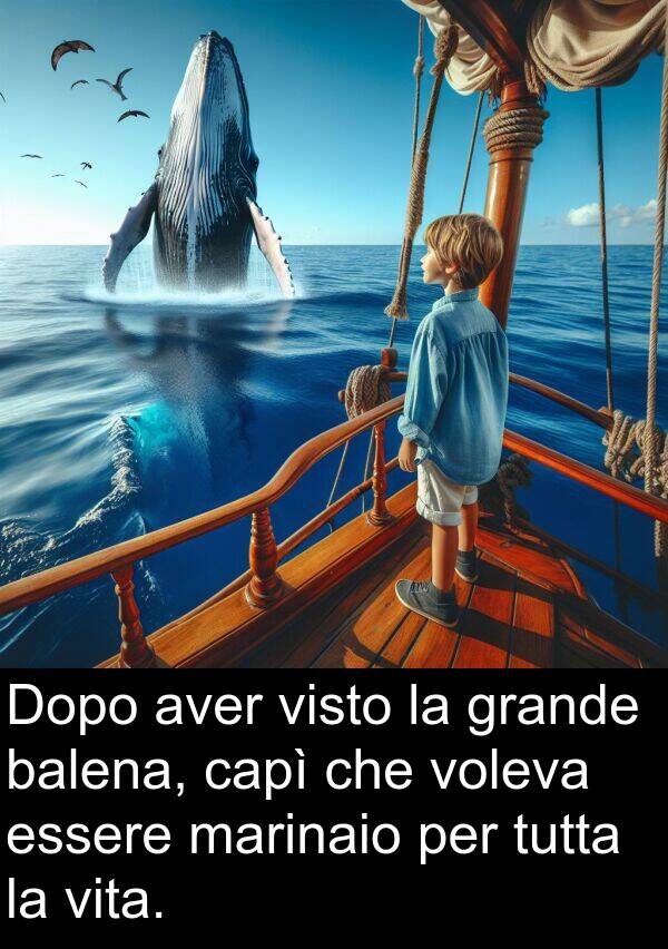 voleva: Dopo aver visto la grande balena, capì che voleva essere marinaio per tutta la vita.