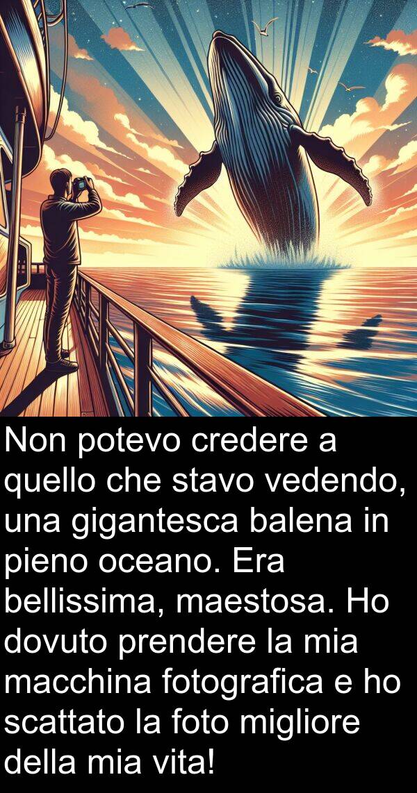 oceano: Non potevo credere a quello che stavo vedendo, una gigantesca balena in pieno oceano. Era bellissima, maestosa. Ho dovuto prendere la mia macchina fotografica e ho scattato la foto migliore della mia vita!