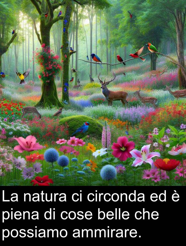 cose: La natura ci circonda ed è piena di cose belle che possiamo ammirare.