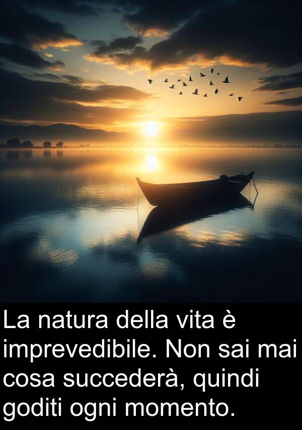 cosa: La natura della vita è imprevedibile. Non sai mai cosa succederà, quindi goditi ogni momento.
