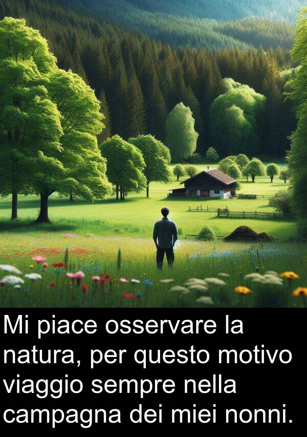 questo: Mi piace osservare la natura, per questo motivo viaggio sempre nella campagna dei miei nonni.