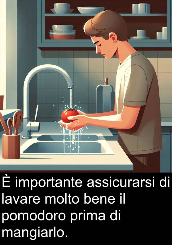 assicurarsi: È importante assicurarsi di lavare molto bene il pomodoro prima di mangiarlo.