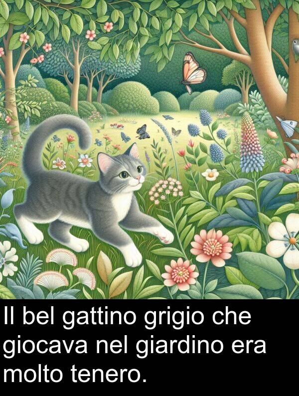 gattino: Il bel gattino grigio che giocava nel giardino era molto tenero.