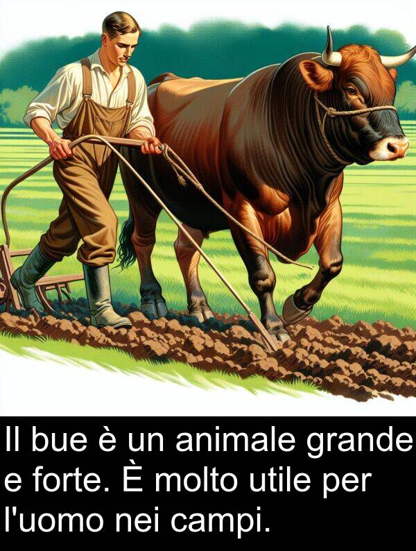 forte: Il bue è un animale grande e forte. È molto utile per l'uomo nei campi.