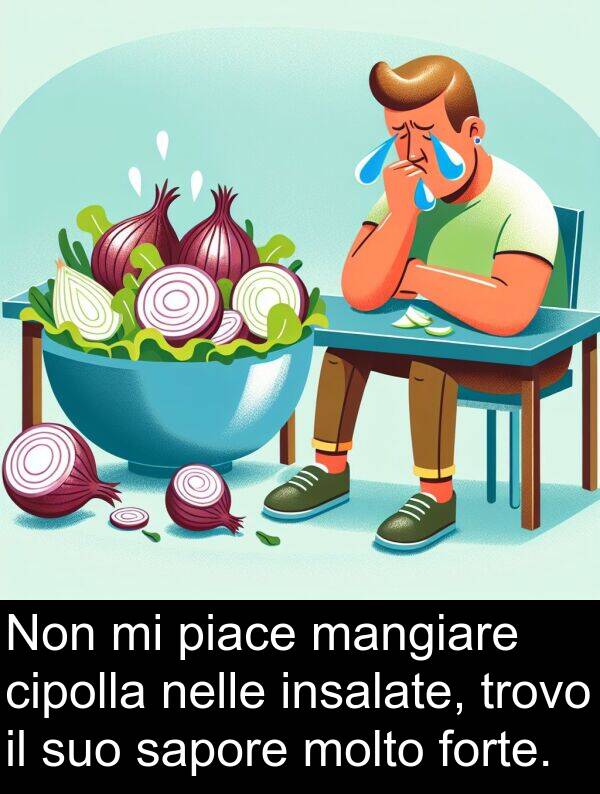 cipolla: Non mi piace mangiare cipolla nelle insalate, trovo il suo sapore molto forte.