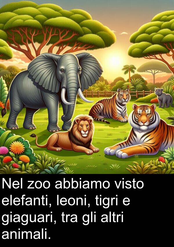 zoo: Nel zoo abbiamo visto elefanti, leoni, tigri e giaguari, tra gli altri animali.