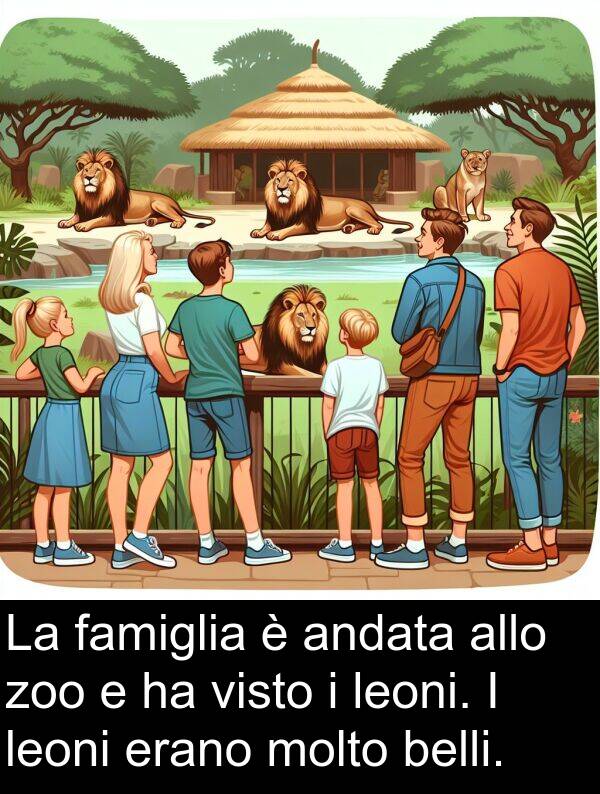 zoo: La famiglia è andata allo zoo e ha visto i leoni. I leoni erano molto belli.