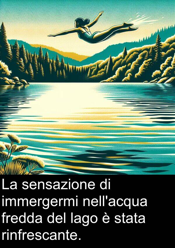 lago: La sensazione di immergermi nell'acqua fredda del lago è stata rinfrescante.
