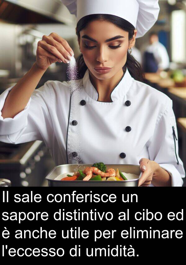 umidità: Il sale conferisce un sapore distintivo al cibo ed è anche utile per eliminare l'eccesso di umidità.