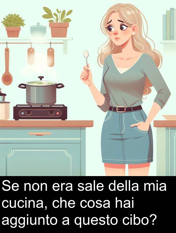 cosa: Se non era sale della mia cucina, che cosa hai aggiunto a questo cibo?